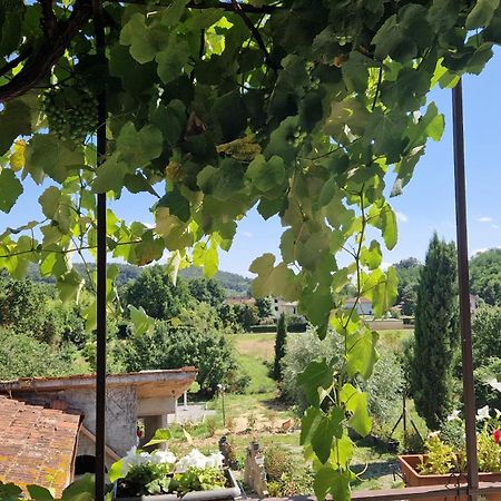 La Casa Nella Vigna Colline Del Vino Apartman Capannori Kültér fotó