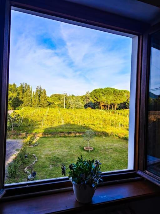 La Casa Nella Vigna Colline Del Vino Apartman Capannori Kültér fotó