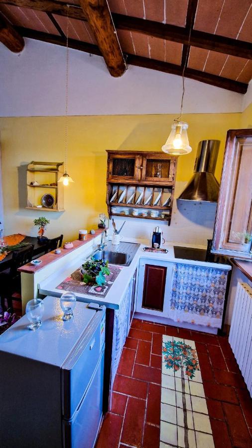 La Casa Nella Vigna Colline Del Vino Apartman Capannori Kültér fotó