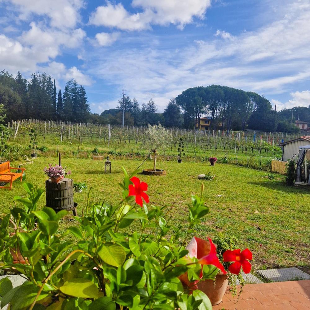 La Casa Nella Vigna Colline Del Vino Apartman Capannori Kültér fotó