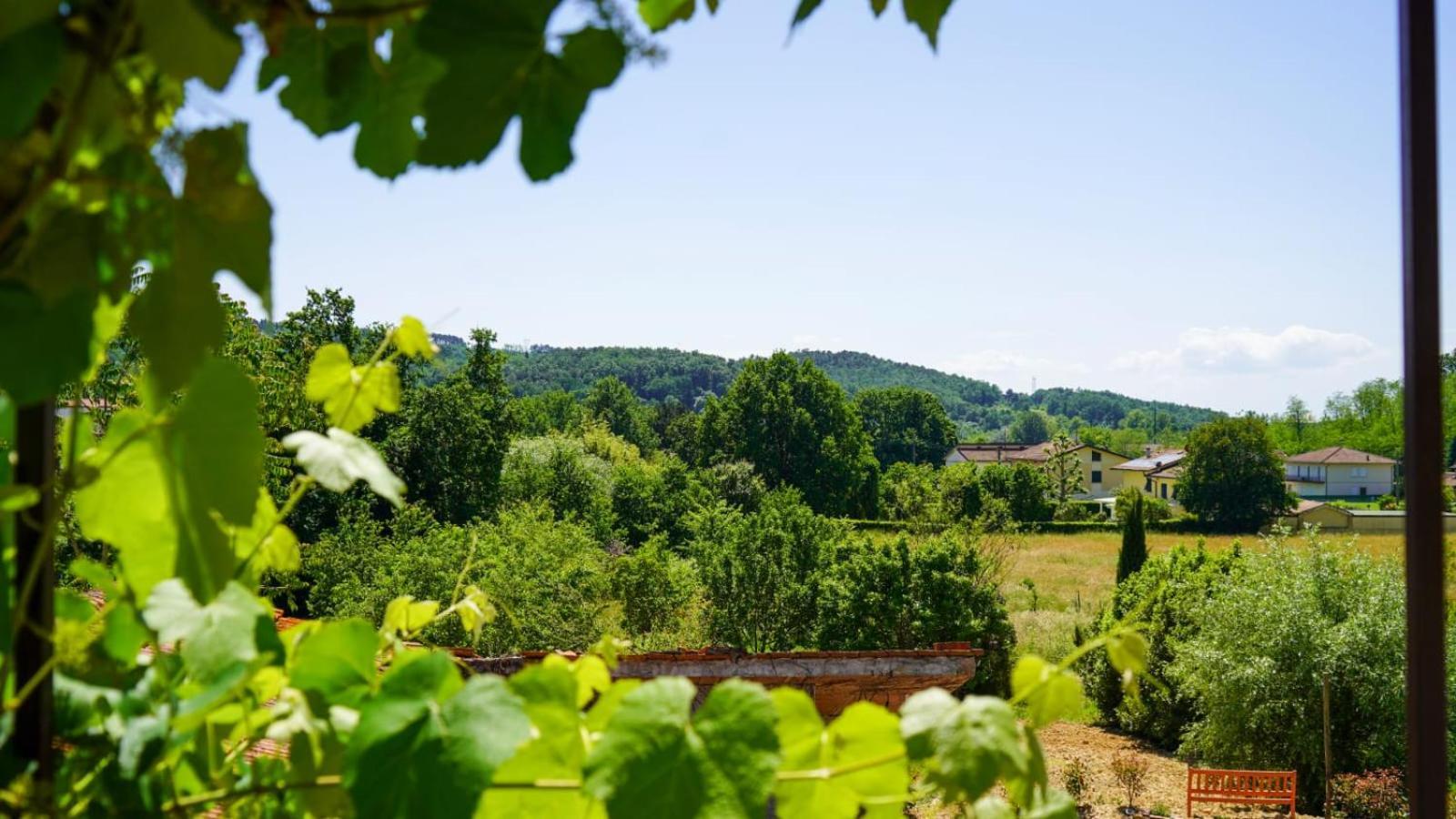La Casa Nella Vigna Colline Del Vino Apartman Capannori Kültér fotó