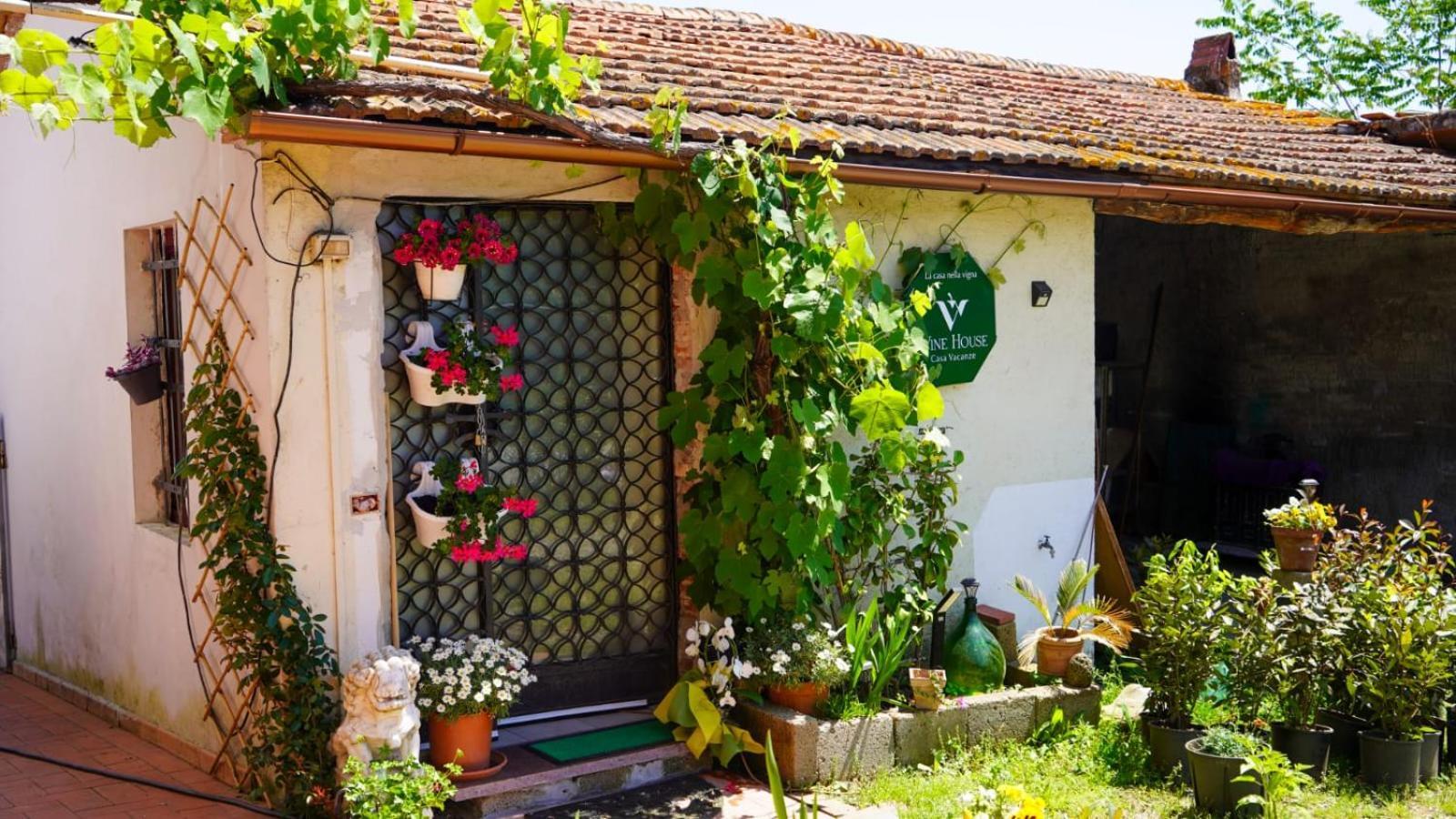 La Casa Nella Vigna Colline Del Vino Apartman Capannori Kültér fotó
